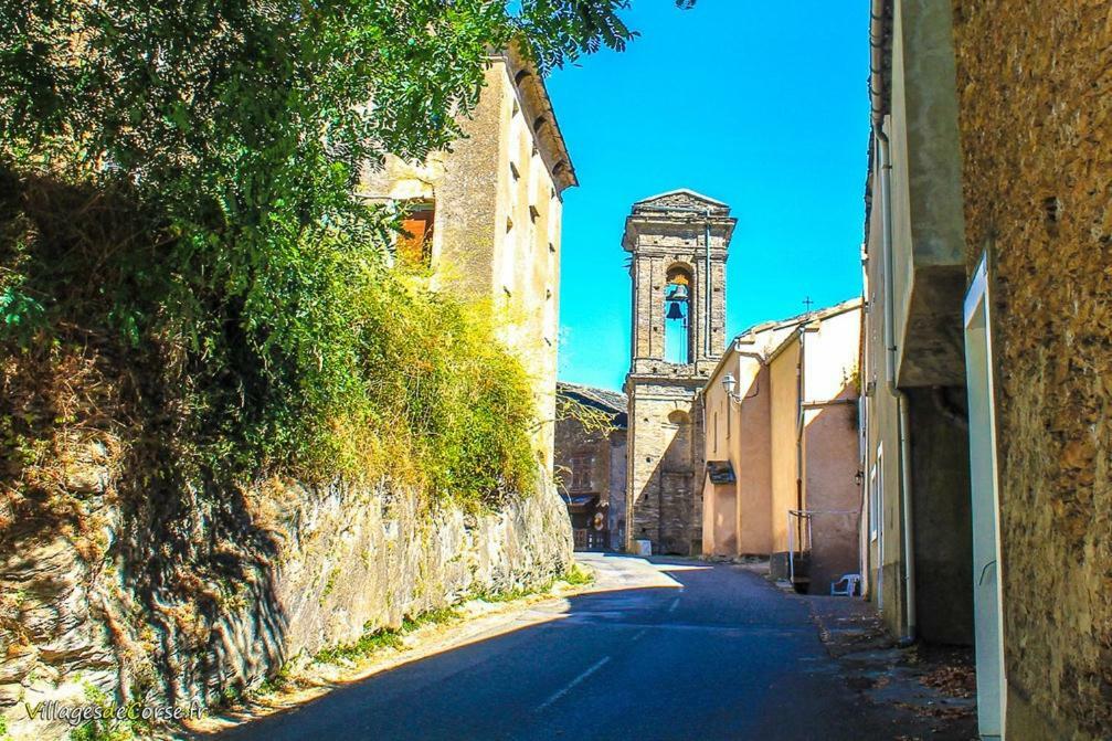 9 Rue De La Traverse Stazzona Exteriör bild